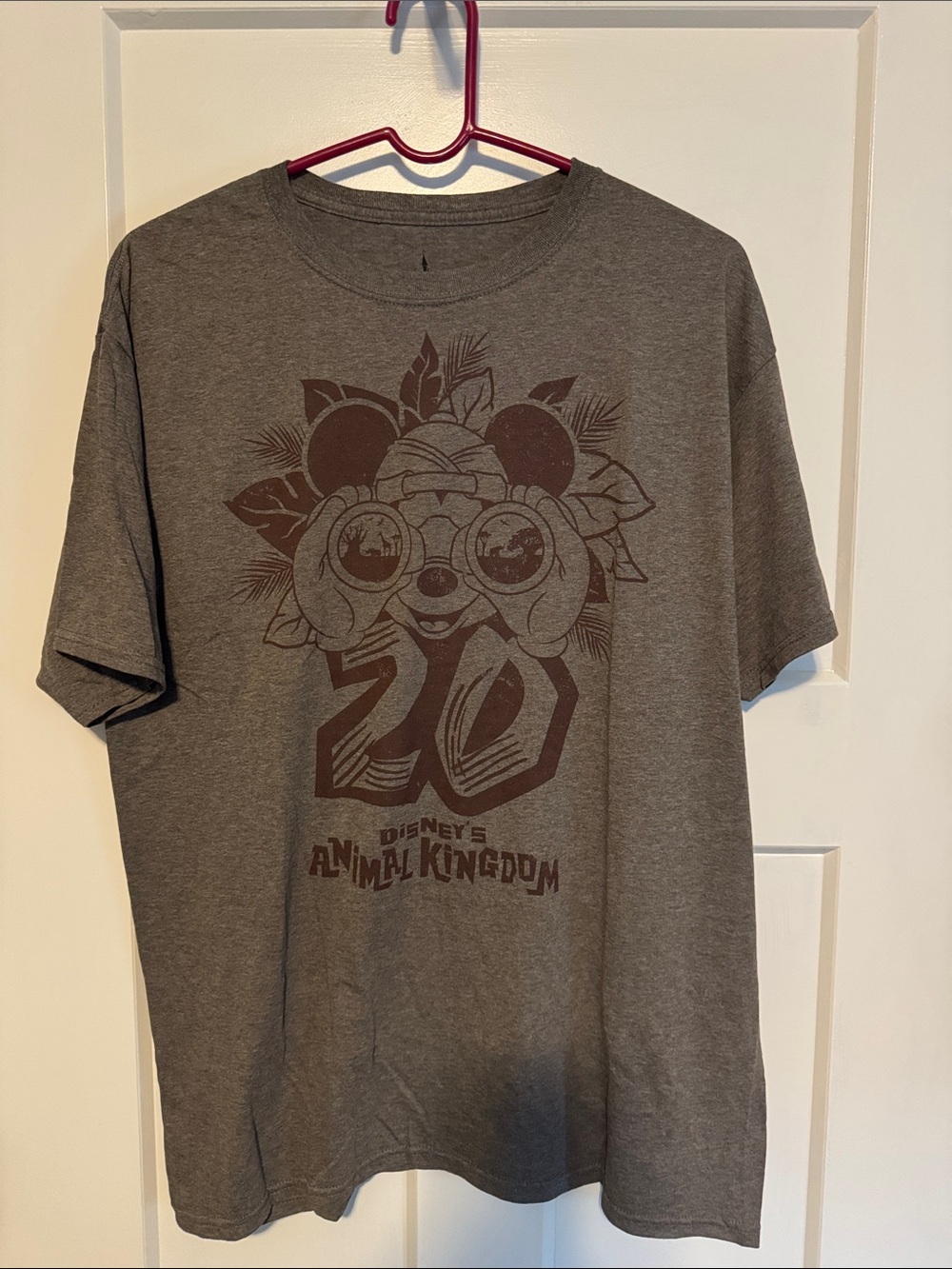 Disney Parks Gray/Brown Animal Kingdom Graphic 20th Anniversary Tee
